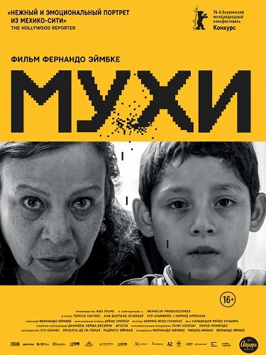 Мухи